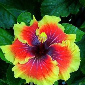 Meet your Posher, Juanita